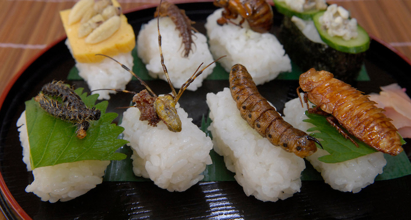 Edible Insects Overcoming The Ick Factor Alliance For Science
