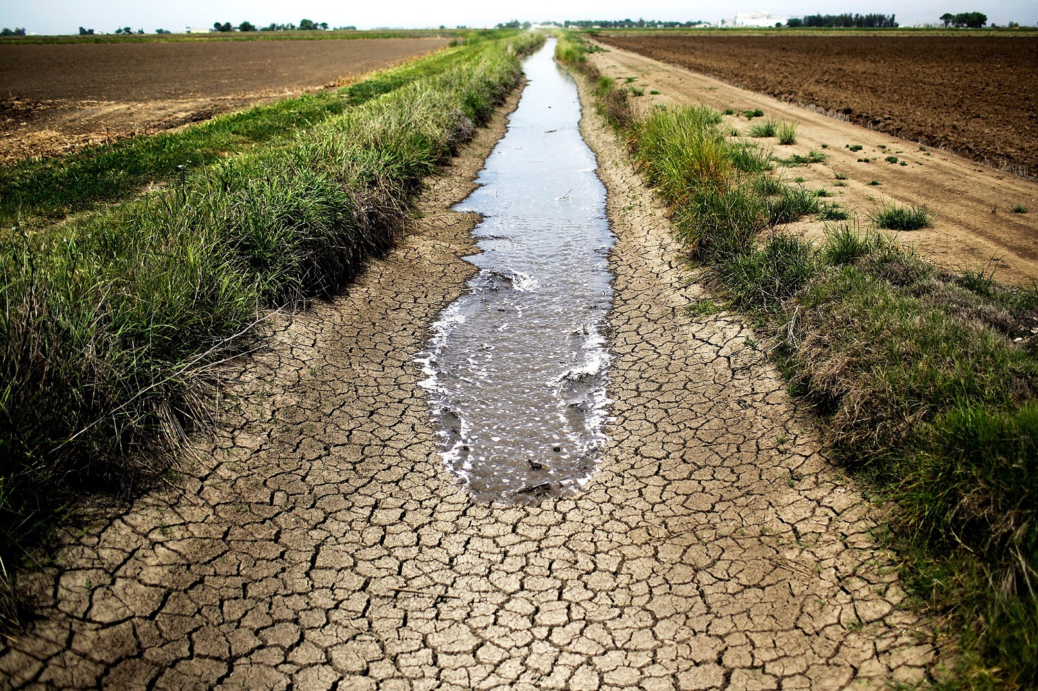 Severe drought threatens food security in sub–Saharan Africa - Alliance for Science