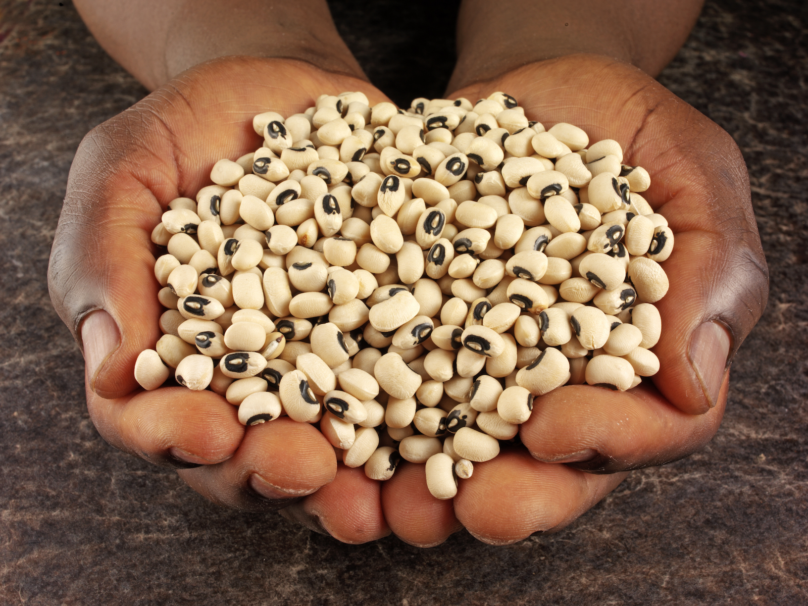 Nigeria makes history with GMO cowpea rollout