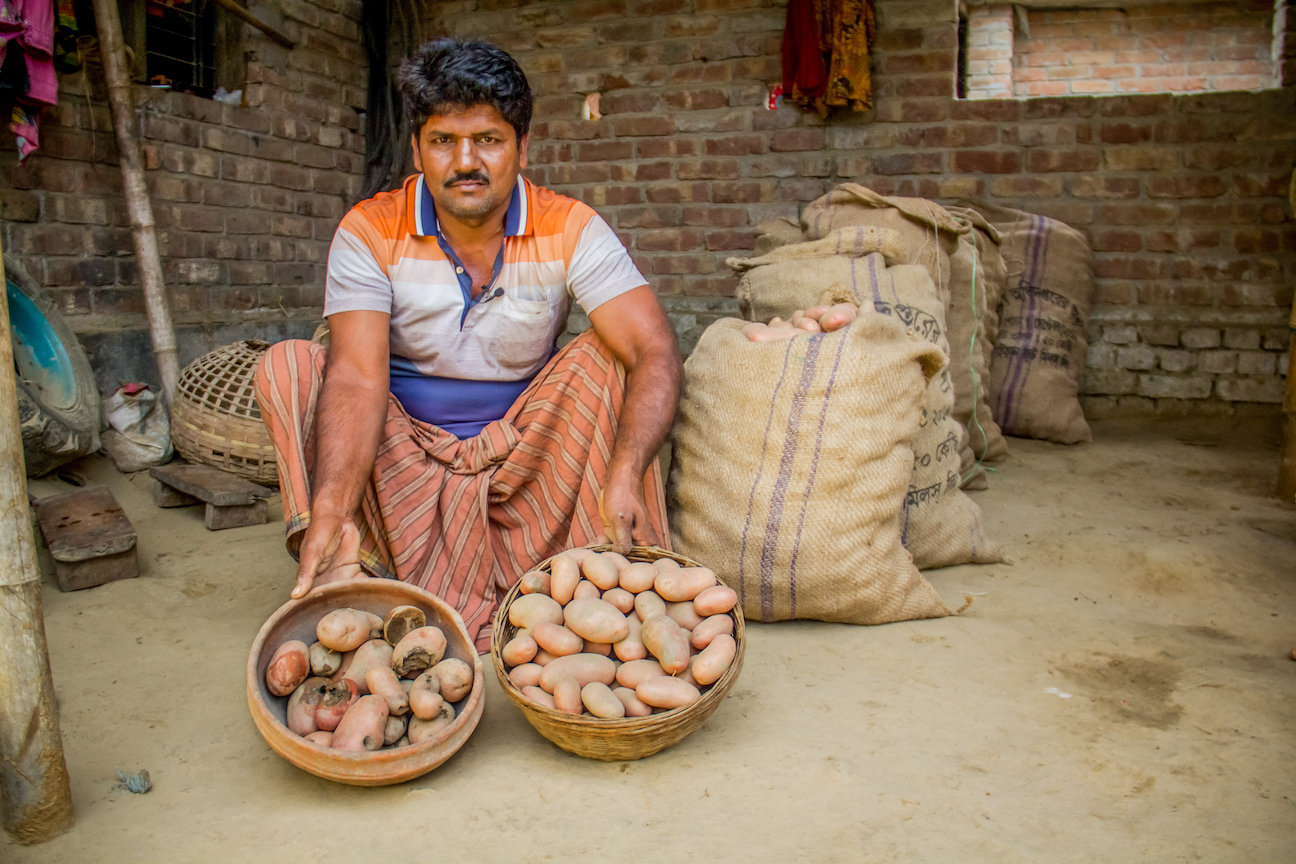 Kemitraan di jalur untuk memberikan kentang transgenik yang tahan penyakit kepada petani Bangladesh dan Indonesia